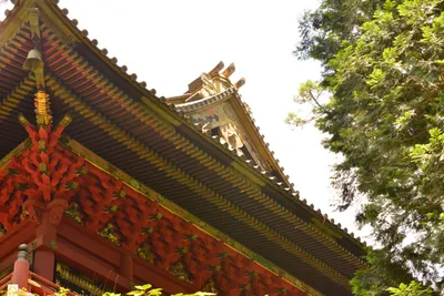 DSC_3835 (Large).JPG